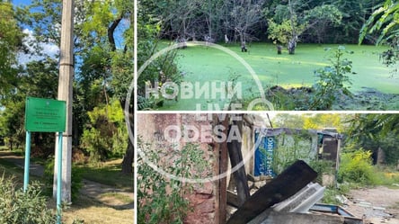 Парк имени Савицкого в Одессе приведут в порядок: что известно - 285x160