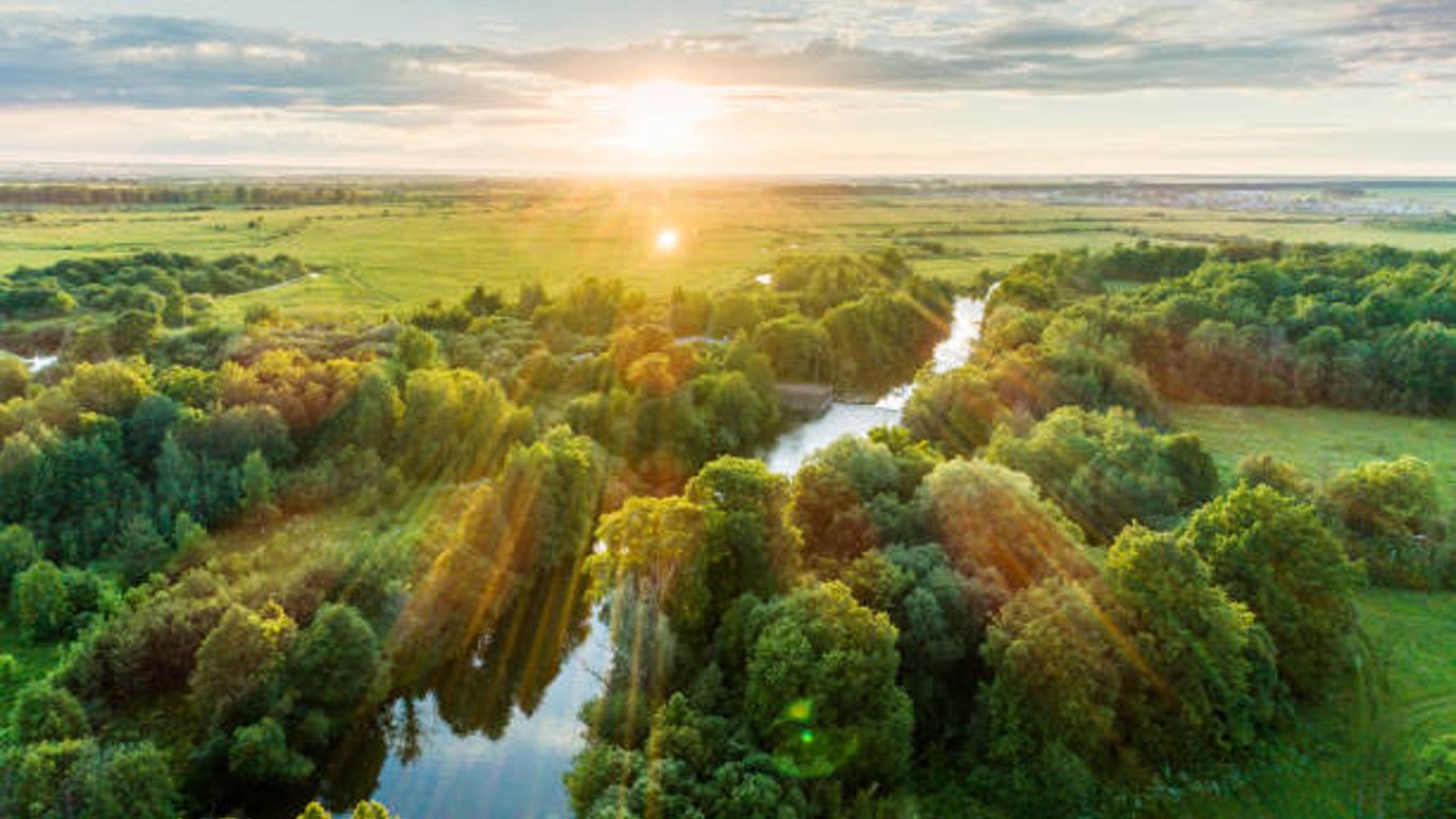 На Харківщині продають комунальну землю – невідомі виставили оголошення на OLX