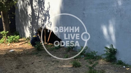 В Одессе горела Потемкинская лестница: какая причина. Фото, видео - 285x160