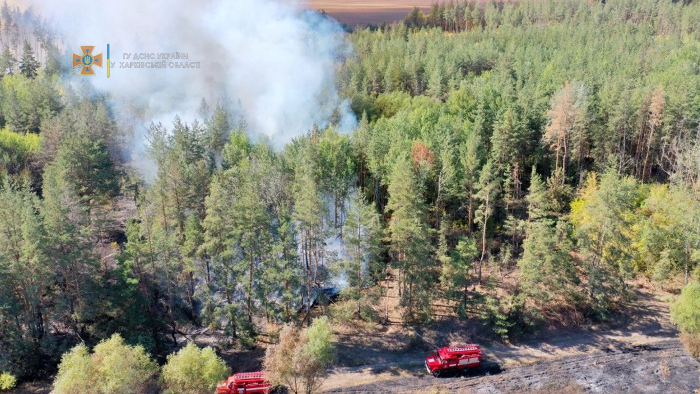 На Харківщині пожежники майже добу гасили пожежу в лісі