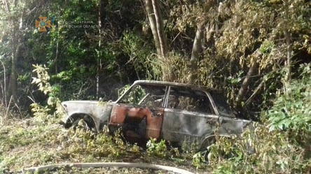 У Харківській області знайшли обгорілий труп на передньому сидінні машини - 285x160