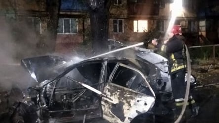 У Кривому Розі жінка загинула в жахливій ДТП: авто влетіло у дерево і вмить спалахнуло. Фото - 285x160