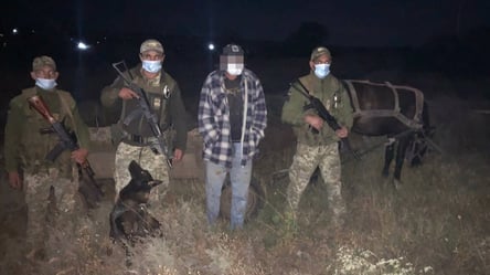 В Одесской области задержали мужчину, который на лошади незаконно пересек границу - 285x160