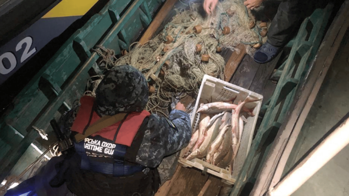 В Одеській області незаконно виловили червонокнижну рибу на 750 тисяч гривень
