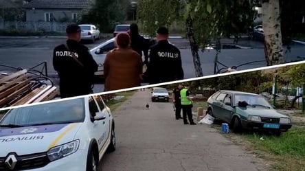 Била топором и скалкой: в Одесской области женщина жестоко убила знакомого - 285x160