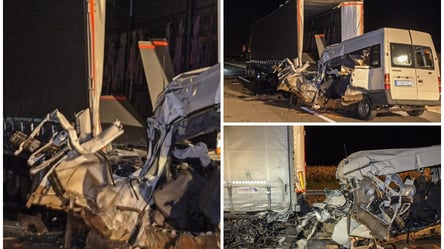 В Угорщині мікроавтобус з українцями в'їхав у вантажівку: загинуло п'ятеро людей - 285x160