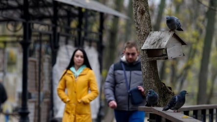 Тепло будет — Укргидрометеоцентр порадовал прогнозом на завтра - 290x166