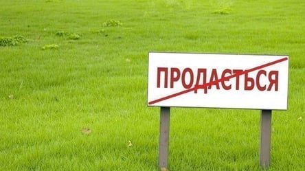 Стало известно, сколько гектаров земли продали в Харьковской области - 285x160