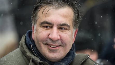 Саакашвили после задержания объявил голодовку - 285x160