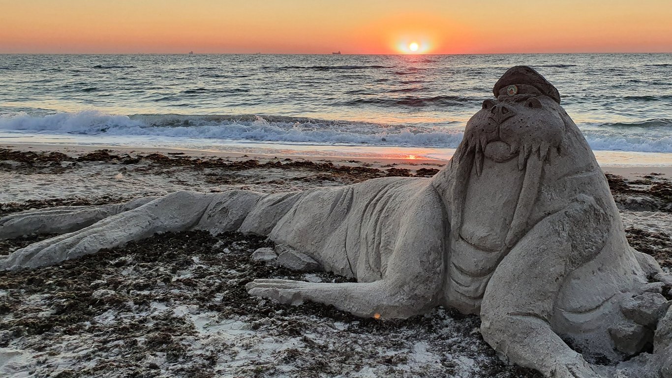 В Одессе слепили самую большую в Украине фигуру моржа из песка