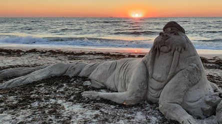 В Одесі біля моря з піску зліпили величезного моржа. Відео - 285x160