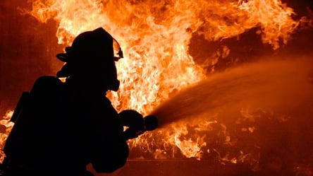 Спасателей не вызвали: в Одесской области при пожаре погибла женщина - 285x160