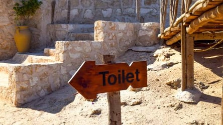 Археологи раскопали туалет для богачей, которому 2 700 лет. Фото - 285x160