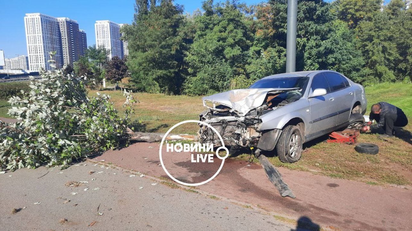 В Киеве легковушка вылетела на обочину и влетела в дерево: что известно о ДТП