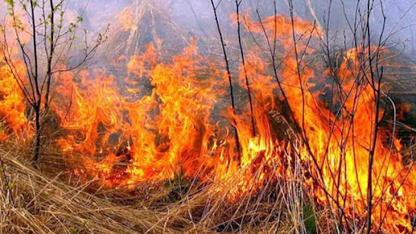 6 жовтня на Харківщині зафіксували багато пожеж - подробиці