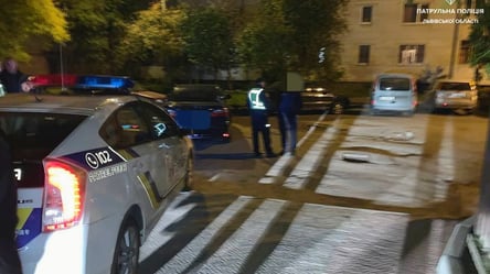 Спочатку на авто, а потім пішки: у Львові п'яний водій тікав від поліцейських - 285x160