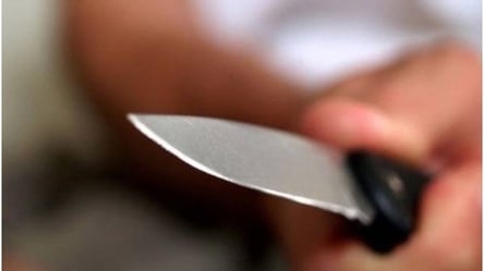 Удар ножом за попытку обнять: харьковчанка едва не убила мужа и получила срок - 285x160