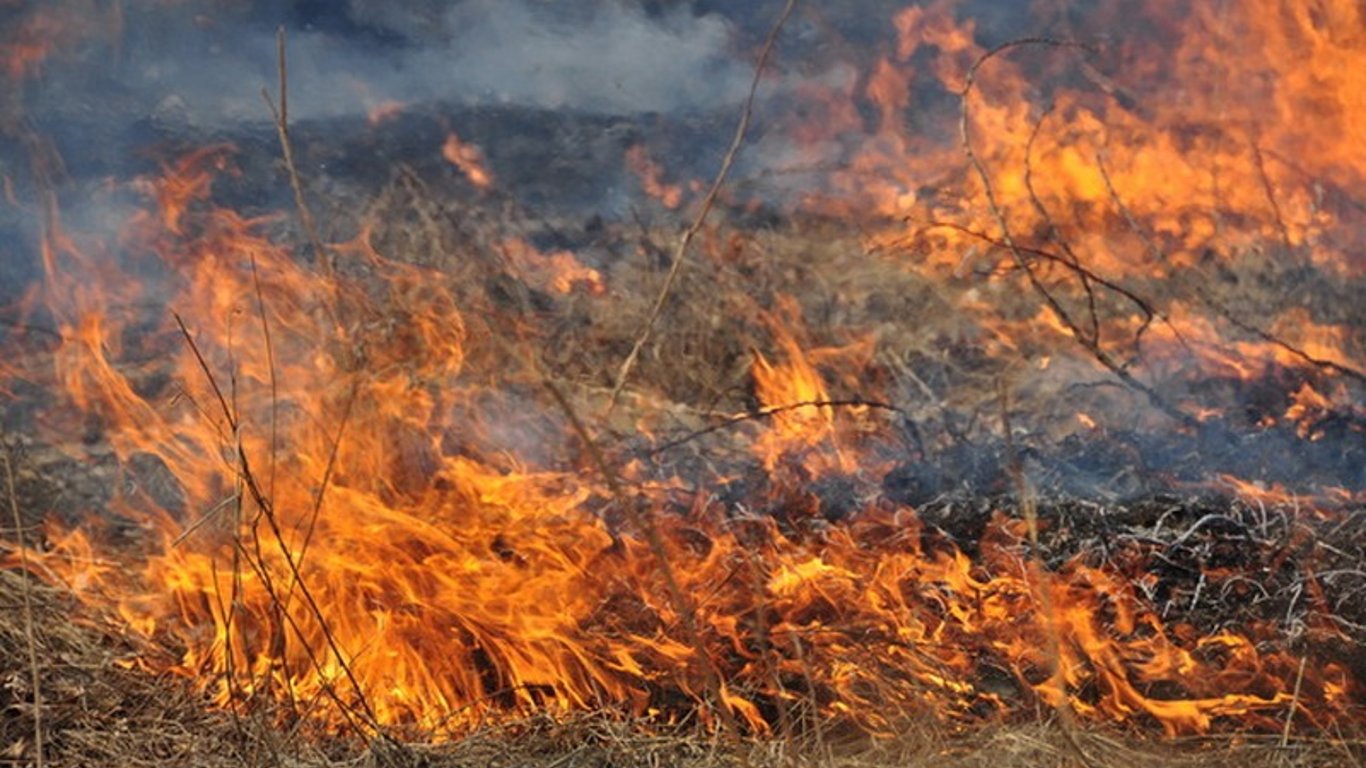 В Киевской области масштабные пожары, горит трава и сухостой - что известно