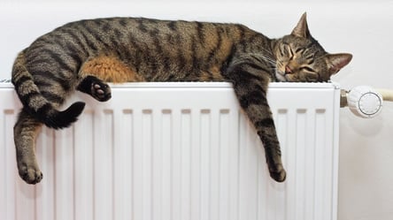 В Ирпене планируют запустить отопление в жилых домах: названы даты - 285x160