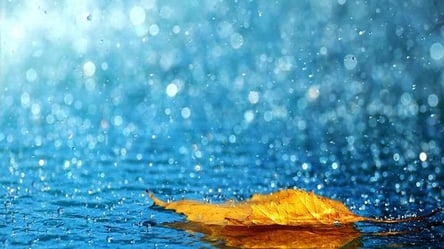 Почти целый день будет дождь: какой будет погода в Харькове 14 октября - 285x160