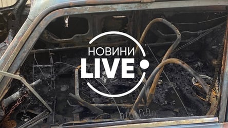 В Киеве сожгли подержанное авто: раритет выгорел дотла. Фото - 285x160
