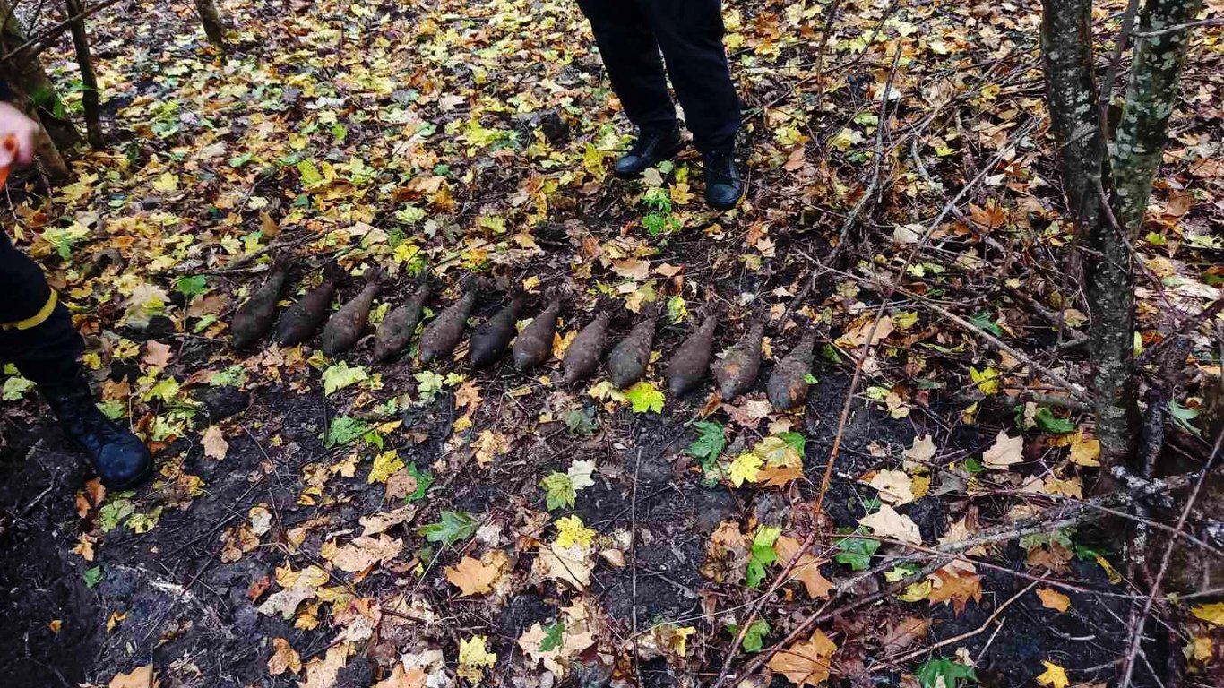 Под Одессой грибники нашли боеприпасы времен Второй мировой войны