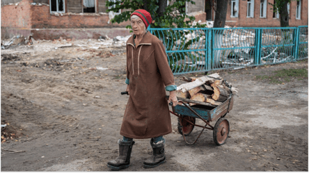 Деньги на дрова — кому выплатят почти 20 тыс. грн этой осенью - 285x160