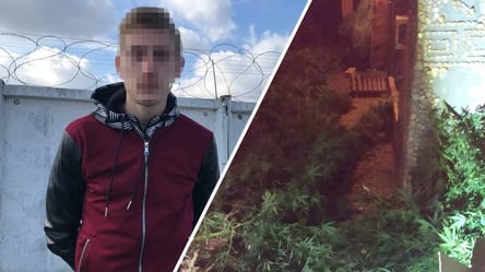 Один носив із собою наркотики, інша – вирощувала коноплю: в Одесі затримали порушників - 285x160