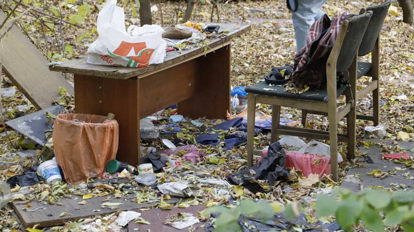Свалка в Киеве - в центре обнаружены горы мусора - фото