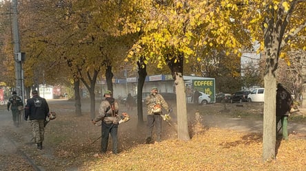Работа кипит: в Киеве коммунальщики косят опавшие листья - 285x160