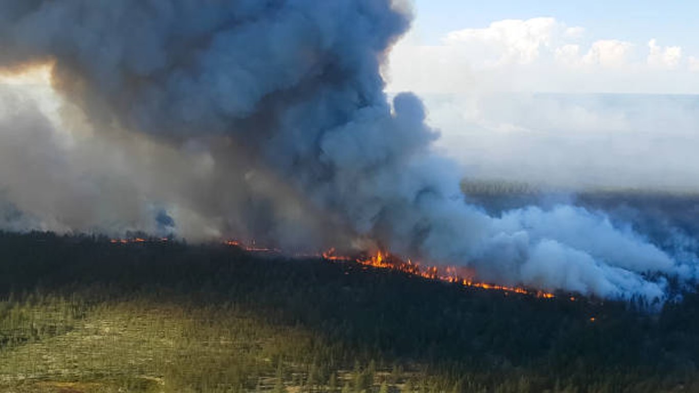 Пожежа на Харківщині – полум’я охопило поле