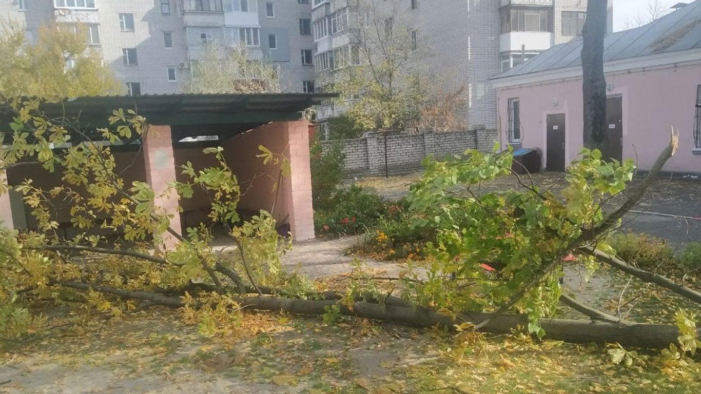 Померла дівчинка, на яку впало дерево у дитсадку на Полтавщині - подробиці