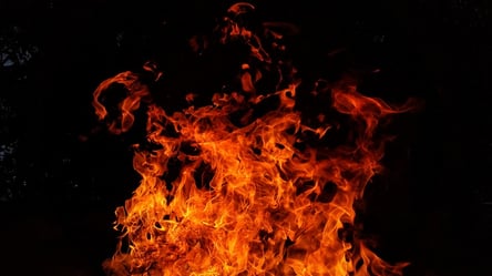 Ровенщину охватили масштабные пожары: огонь виден за километры. Видео - 285x160