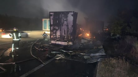 Водитель сгорел заживо на трассе Киев-Одесса - 285x160