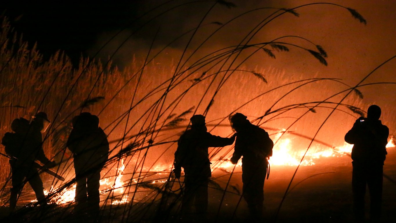 Пожар в Киеве - горит парк возле Лесного кладбища - видео