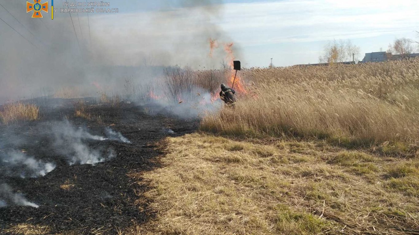 В Харьковской области горит сухая трава на площади 10 га