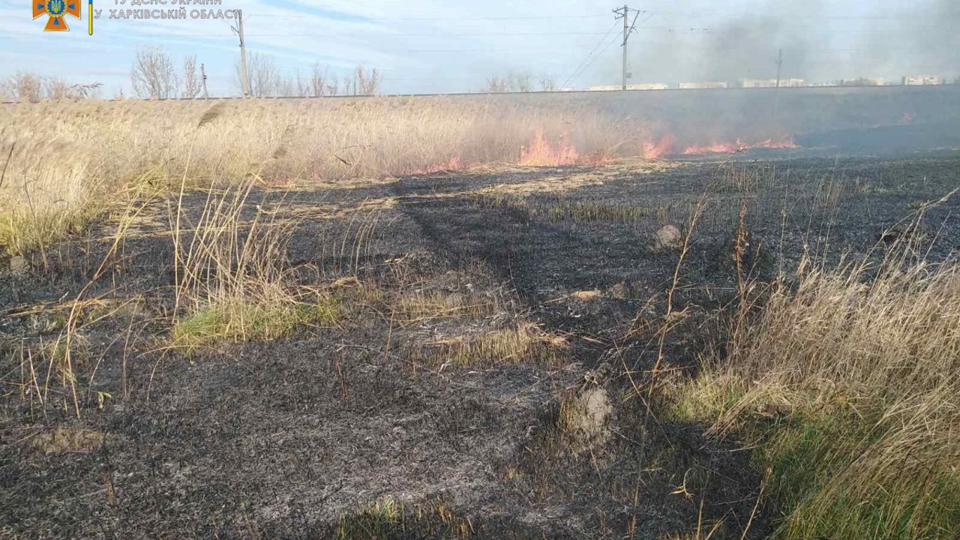 22 октября в Харьковской области зарегистрировали 36 пожаров
