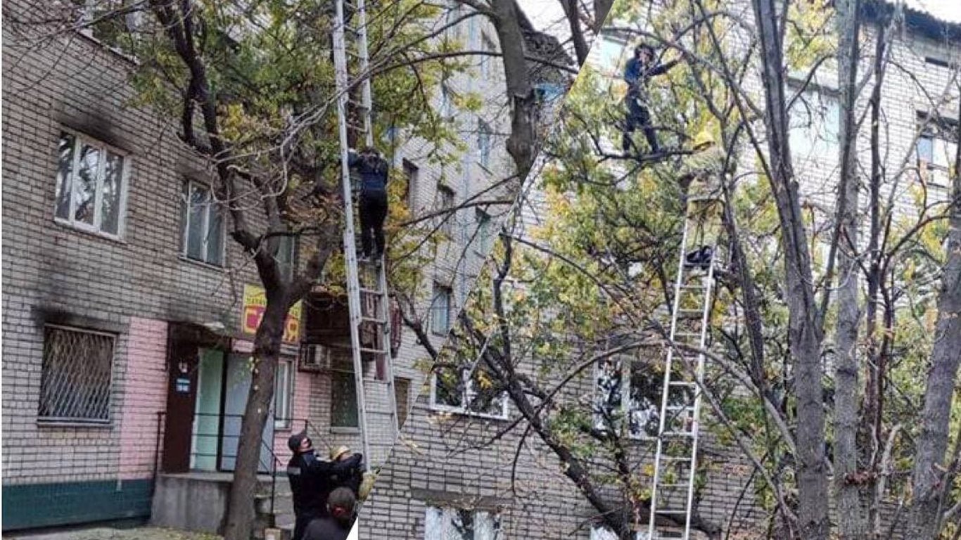 На Дніпропетровщині вагітна жінка залізла на дерево на висоту 4-го поверху: подробиці