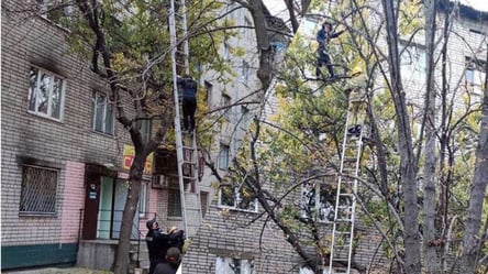 На Днепропетровщине беременная женщина залезла на дерево на высоту 4-го этажа: подробности. Фото - 285x160