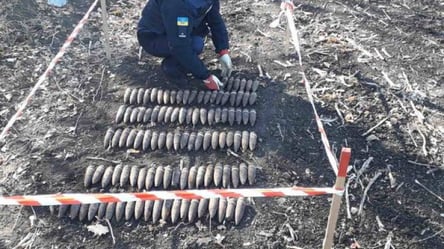Более 100 снарядов времен Второй мировой войны обнаружили в лесополосе на Харьковщине - 285x160