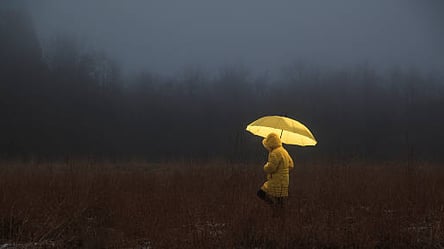 Холодно и дождь: какой будет погода в Харькове 28 октября - 285x160