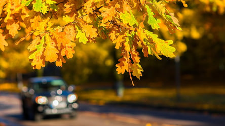10 порад для безпечної їзди на автомобілі восени - 285x160