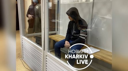 Неповнолітньому Миколі Харківському загрожує тюремний термін понад 8 років - 285x160