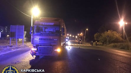 В Харькове водитель грузовика, сбивший двух детей на переходе, хочет выйти из СИЗО – суд принял решение - 285x160