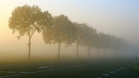 Город накроет туман: какой будет погода в Харькове 30 октября - 285x160