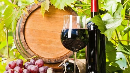 Бессарабське вино: у чому секрет виготовлення домашнього напою - 285x160