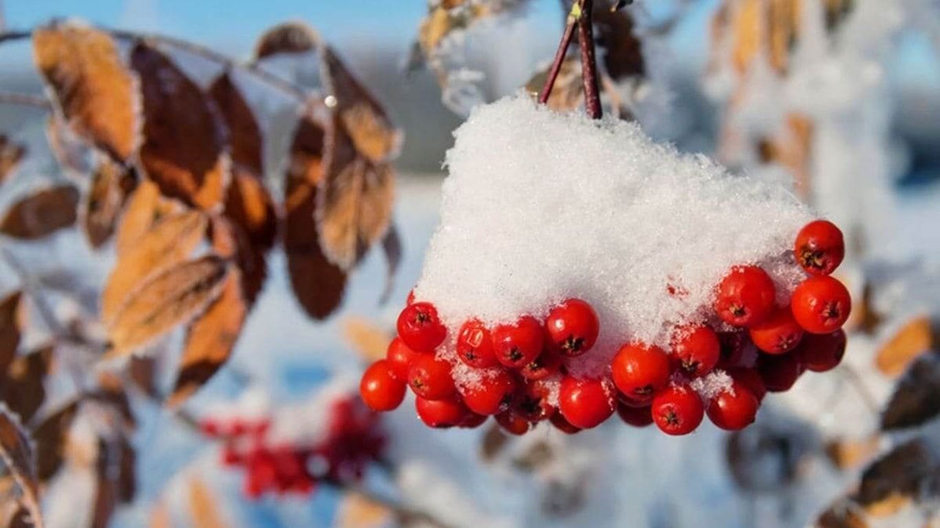 Коли в Україні піде сніг – дати, прогноз синоптика