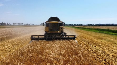 Ціни на зерно в Україні — скільки коштує ячмінь у листопаді - 285x160