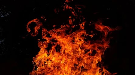 Огонь уже у домов: под Харьковом от поджога начался пожар - 285x160