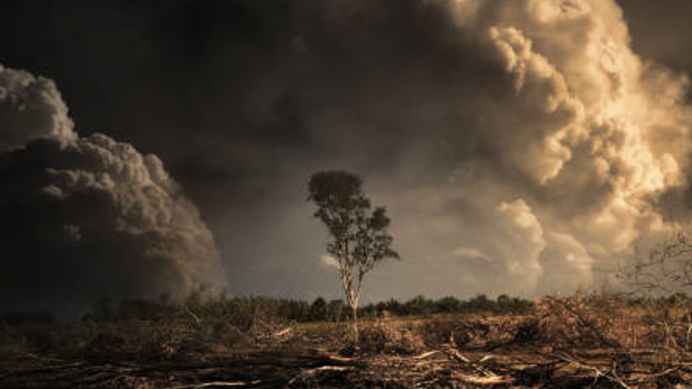 Пожар под Харьковом – горит экосистема